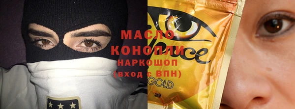 индика Пестово