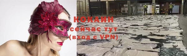 индика Пестово