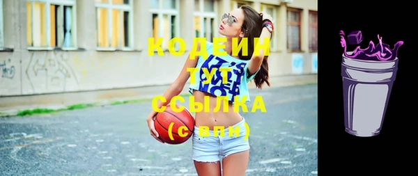 индика Пестово