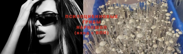 мяу мяу мука Пересвет