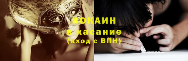 индика Пестово