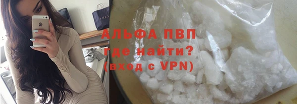 индика Пестово