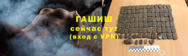 индика Пестово