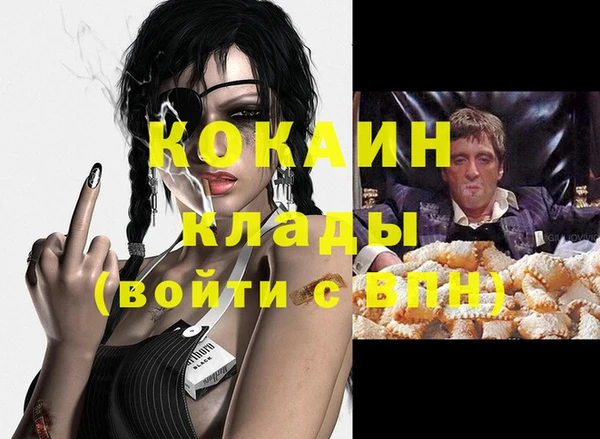 индика Пестово