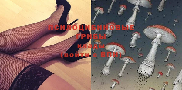 мяу мяу мука Пересвет