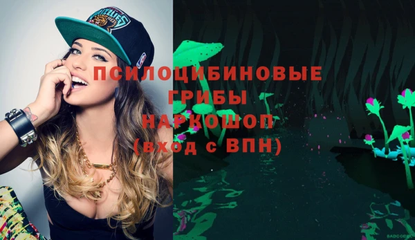 индика Пестово