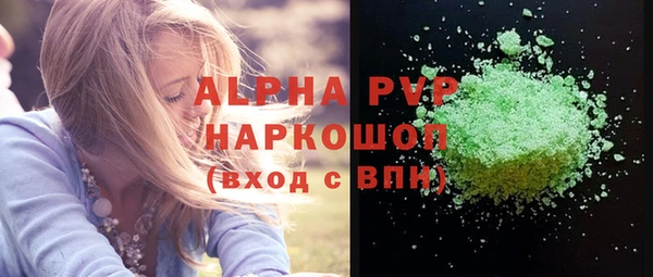 индика Пестово