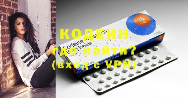 индика Пестово