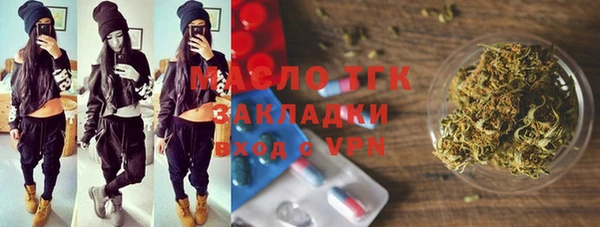 индика Пестово