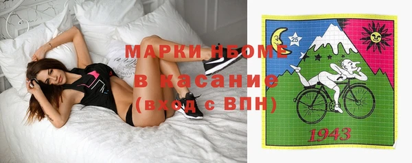 индика Пестово