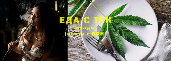 индика Пестово