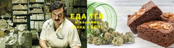 индика Пестово