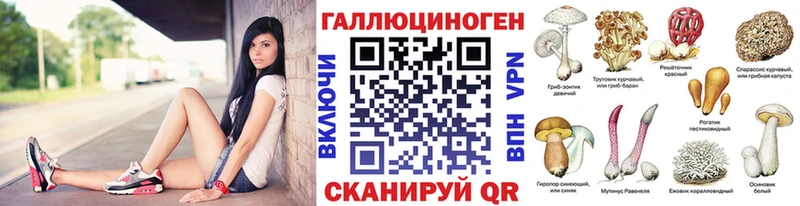 kraken ТОР наркошоп Циолковский Псилоцибиновые грибы Psilocybine cubensis